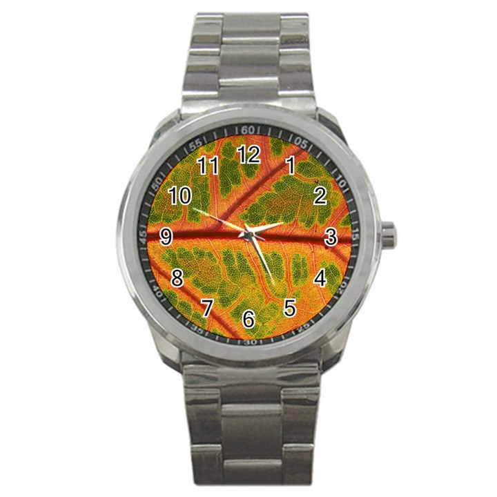 Leaf Veins Texture Autumn Fall Sport Metal Watch