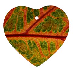 Leaf Veins Texture Autumn Fall Heart Ornament (two Sides) by Wegoenart