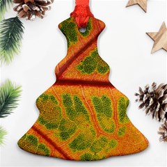 Leaf Veins Texture Autumn Fall Ornament (christmas Tree)  by Wegoenart