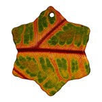 Leaf Veins Texture Autumn Fall Snowflake Ornament (Two Sides) Front