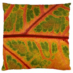 Leaf Veins Texture Autumn Fall Large Cushion Case (one Side) by Wegoenart