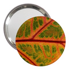 Leaf Veins Texture Autumn Fall 3  Handbag Mirrors by Wegoenart