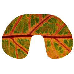 Leaf Veins Texture Autumn Fall Travel Neck Pillow by Wegoenart