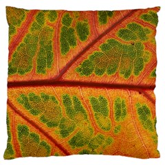 Leaf Veins Texture Autumn Fall Standard Flano Cushion Case (one Side) by Wegoenart