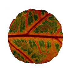 Leaf Veins Texture Autumn Fall Standard 15  Premium Flano Round Cushions by Wegoenart