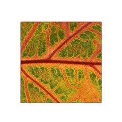 Leaf Veins Texture Autumn Fall Satin Bandana Scarf 22  X 22  by Wegoenart