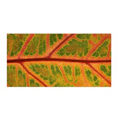 Leaf Veins Texture Autumn Fall Satin Wrap 35  X 70  by Wegoenart