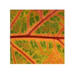 Leaf Veins Texture Autumn Fall Square Satin Scarf (30  X 30 ) by Wegoenart