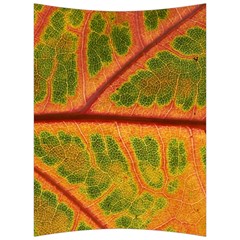 Leaf Veins Texture Autumn Fall Back Support Cushion by Wegoenart