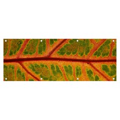 Leaf Veins Texture Autumn Fall Banner And Sign 8  X 3  by Wegoenart