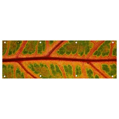 Leaf Veins Texture Autumn Fall Banner And Sign 9  X 3 