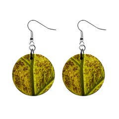 Leaf Structure Texture Background Mini Button Earrings by Wegoenart