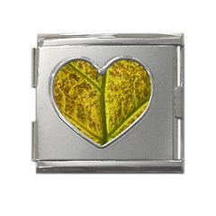 Leaf Structure Texture Background Mega Link Heart Italian Charm (18mm) by Wegoenart