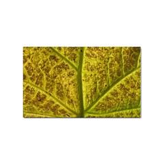 Leaf Structure Texture Background Sticker (rectangular) by Wegoenart