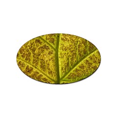 Leaf Structure Texture Background Sticker Oval (10 Pack) by Wegoenart