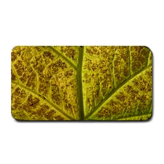 Leaf Structure Texture Background Medium Bar Mat by Wegoenart