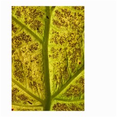 Leaf Structure Texture Background Small Garden Flag (two Sides) by Wegoenart