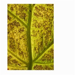 Leaf Structure Texture Background Large Garden Flag (two Sides) by Wegoenart