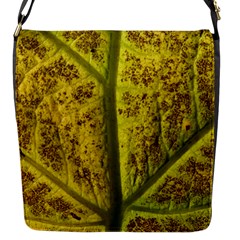 Leaf Structure Texture Background Flap Closure Messenger Bag (s) by Wegoenart