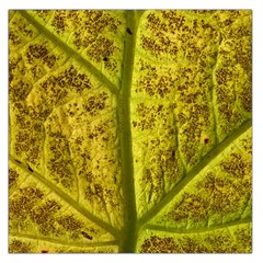 Leaf Structure Texture Background Square Satin Scarf (36  X 36 ) by Wegoenart