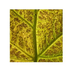 Leaf Structure Texture Background Square Satin Scarf (30  X 30 ) by Wegoenart