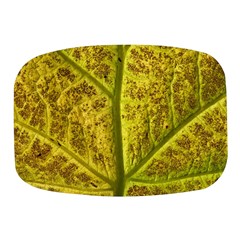 Leaf Structure Texture Background Mini Square Pill Box by Wegoenart