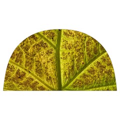 Leaf Structure Texture Background Anti Scalding Pot Cap by Wegoenart