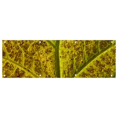 Leaf Structure Texture Background Banner And Sign 9  X 3 