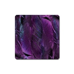 Feather Pattern Texture Form Square Magnet by Wegoenart