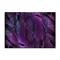 Feather Pattern Texture Form Sticker A4 (100 Pack) by Wegoenart