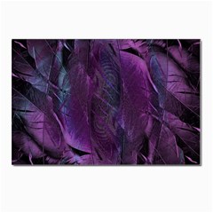 Feather Pattern Texture Form Postcard 4 x 6  (pkg Of 10) by Wegoenart