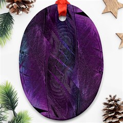 Feather Pattern Texture Form Oval Ornament (two Sides) by Wegoenart