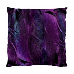 Feather Pattern Texture Form Standard Cushion Case (one Side) by Wegoenart