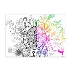 Anatomy Brain Head Medical Psychedelic  Skull Sticker A4 (10 Pack) by danenraven