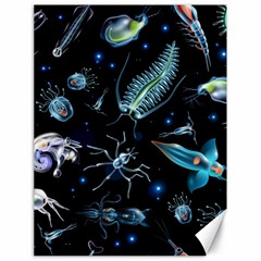 Colorful Abstract Pattern Consisting Glowing Lights Luminescent Images Marine Plankton Dark Canvas 18  X 24  by Ravend