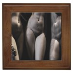 Three Graces Sculpture Detail Framed Tile Front