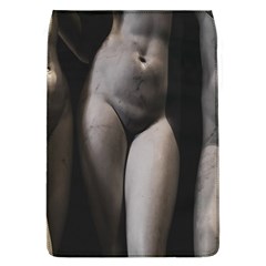 Three Graces Sculpture Detail Removable Flap Cover (l) by dflcprintsclothing