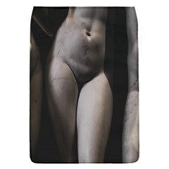 Three Graces Sculpture Detail Removable Flap Cover (s) by dflcprintsclothing