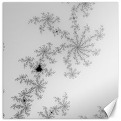 Mandelbrot Apple Males Mathematics Canvas 12  X 12 