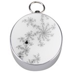 Mandelbrot Apple Males Mathematics Silver Compasses Front