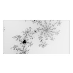 Mandelbrot Apple Males Mathematics Satin Shawl 45  X 80 