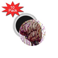 Brain Think Neurons Circuit 1 75  Magnets (10 Pack) 