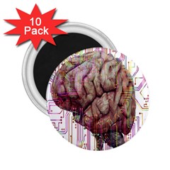 Brain Think Neurons Circuit 2 25  Magnets (10 Pack)  by Wegoenart