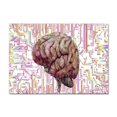 Brain Think Neurons Circuit Sticker A4 (100 Pack)