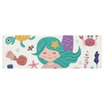 Set-cute-mermaid-seaweeds-marine-inhabitants Banner and Sign 12  x 4  Front