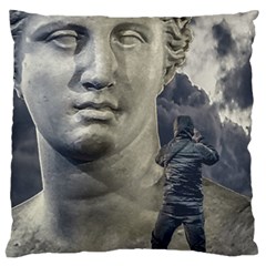 Men Taking Photos Of Greek Goddess Standard Flano Cushion Case (one Side)