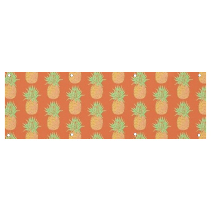 Pineapple Orange Pastel Banner and Sign 9  x 3 