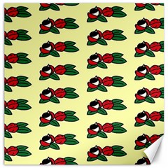 Guarana Fruit Clean Canvas 16  X 16 