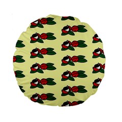 Guarana Fruit Clean Standard 15  Premium Round Cushions by ConteMonfrey