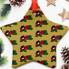 Guarana Fruit Brown Ornament (star) by ConteMonfrey